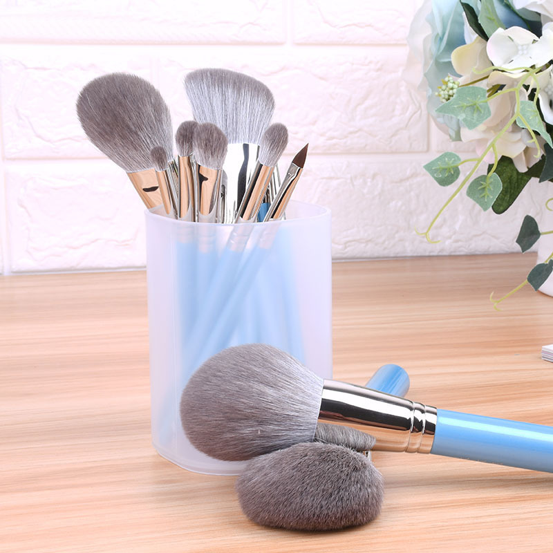 travel cosmetic brushes sets